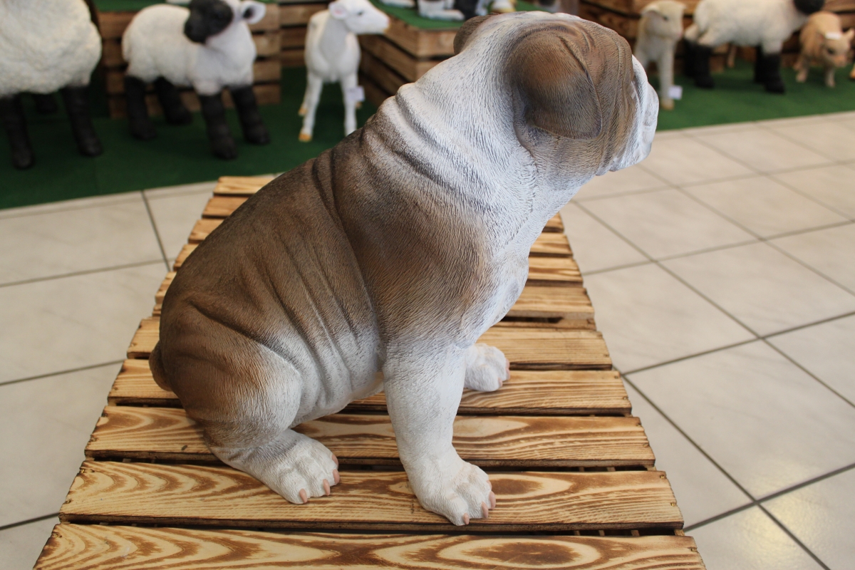 Englische Bulldogge Hund 50cm Gartenfigur sitzend 2287 lebensechte Deko  Figur
