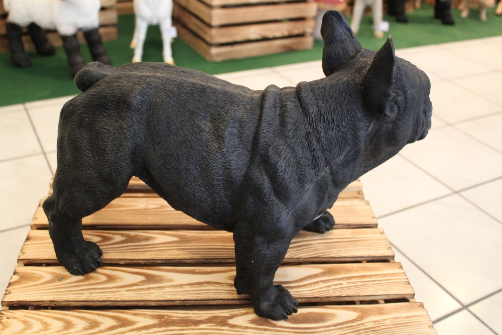 Franz. Bulldogge, schwarzIDekofiguren günstig Online kaufen - XO-SHOP